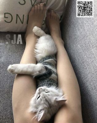 亚洲宗人网_BD国语在线观看高清